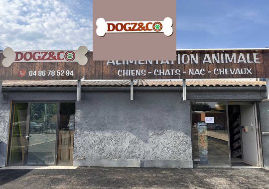 DOGS AND CO