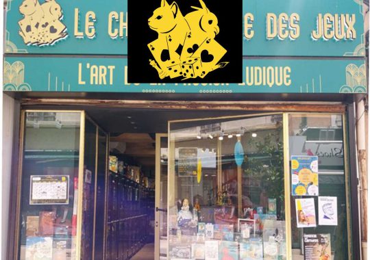 Le Chat Chouette des jeux